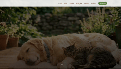 반려동물 NGO 단체 소개 페이지